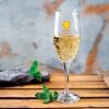 The Trends Champagne Flute is a 170ml glass flute. Great branded promotional glassware product for hospitality & corporate gifts.