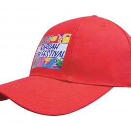 Headwear Professionals Brushed Heavy Cotton Pro-Rotated