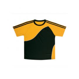 The Unlimited Edition Adult Sports Tee is a 100% polyester double knit, quick dry, sports tee.  150gsm.  8 colours.  Great branded sports tees.