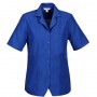 Biz Collection Ladies Plain Oasis Overblouse-s265ls_electricblue_725