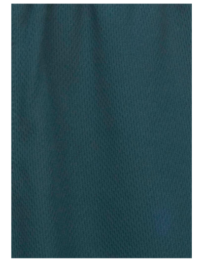 Biz Collection Mens Sonic Shorts