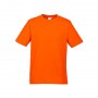 t10012_fluroorange_725
