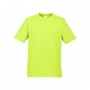 t10012_fluroyellowlime_725