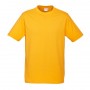 t10012_gold_725