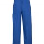 h10610 Biz Collection Unisex Classic Scrubs Cargo Pants – Royal – Promotrenz