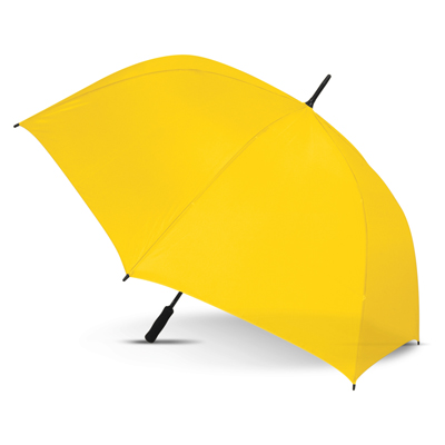 The Trends Collection Hydra Sports Umbrella is a premium auto opening 76cm, 8 panel sports umbrella. 13 colours. Great branded promotional umbrellas.