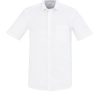 The Biz Collection Regent Mens Short Sleeve Shirt is a wrinkle resistant 100% premium cotton short sleeve shirt.  2 colours.  XS- 5XL.  Great work shirts.