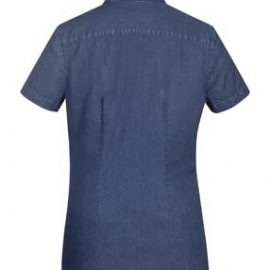 The Biz Collection Ladies Indie Short Sleeve Shirt is a 100% cotton, 160gsm short sleeve shirt.  3 colours.  6 - 20.  Great work shirts from Biz Collection.