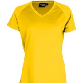 The Aurora Sports Womens XT Performance Tee is a v-neck, polyester performance tee.  Quick dry.  9 colours.  8 - 18.  Great performance sports wear. 