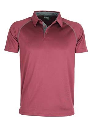 The Aurora Sport XT Performance Pullover Polo is a 150gsm polyester performance polo.  11 colours.  S - 5XL.  Great branded performance polos.