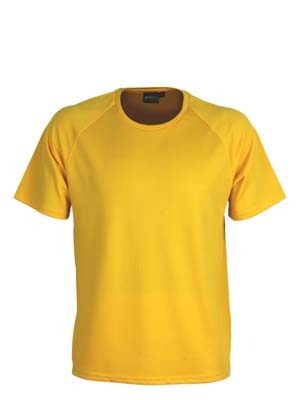 The Aurora Sports Mens XT Performance Tee is a v-neck, polyester performance tee.  Quick dry.  9 colours.  S - 5XL.  Great performance sports wear.