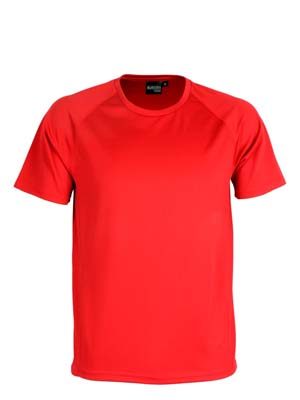 The Aurora Sports Mens XT Performance Tee is a v-neck, polyester performance tee.  Quick dry.  9 colours.  S - 5XL.  Great performance sports wear.