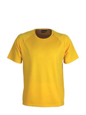 The Aurora Sports Kids XT Performance Tee is a v-neck, polyester performance tee.  Quick dry.  9 colours.  6 - 14.  Great performance sports wear.