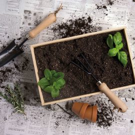 The Catalogue Dig It Garden Box is a natural pine wood box with a 3 piece garden set. Includes a cultivator, spade trowel and soil hoe.