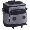 parkway-music-cooler-aluminium_black